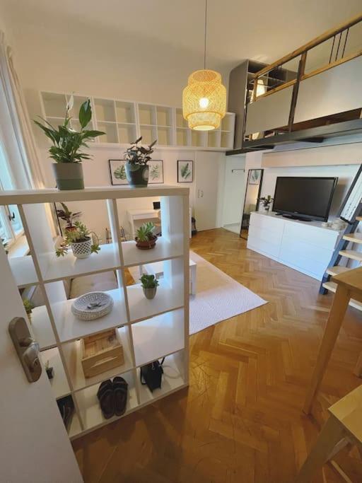 Stefanka Apartment Old Town براتسيلافا المظهر الخارجي الصورة